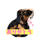 ジルちゃんとロン君のスタンプ（個別スタンプ：6）
