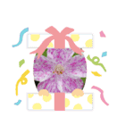 お花で遊ぼう2（個別スタンプ：12）