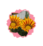 お花で遊ぼう2（個別スタンプ：13）