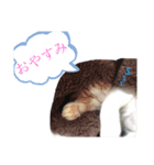 なな＆じょうたろう（個別スタンプ：2）