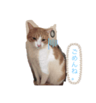 なな＆じょうたろう（個別スタンプ：8）