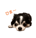 あかがわ ちろる（個別スタンプ：9）