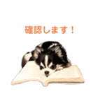 あかがわ ちろる（個別スタンプ：11）