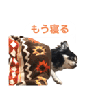 あかがわ ちろる（個別スタンプ：12）