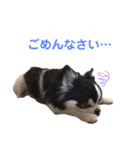 あかがわ ちろる（個別スタンプ：14）