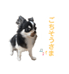 あかがわ ちろる（個別スタンプ：15）