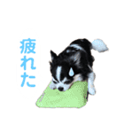 あかがわ ちろる（個別スタンプ：18）