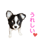 あかがわ ちろる（個別スタンプ：19）