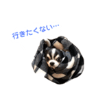 あかがわ ちろる（個別スタンプ：20）
