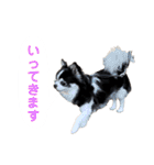 あかがわ ちろる（個別スタンプ：37）