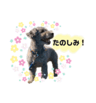 癒しのアトム（個別スタンプ：12）