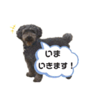 癒しのアトム（個別スタンプ：17）