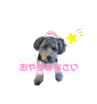 癒しのアトム（個別スタンプ：19）
