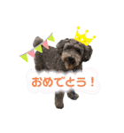 癒しのアトム（個別スタンプ：22）