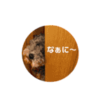 癒しのアトム（個別スタンプ：25）