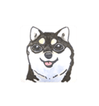 福ふくまねきやワンコ6犬種（個別スタンプ：1）