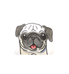 福ふくまねきやワンコ6犬種（個別スタンプ：5）