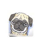 福ふくまねきやワンコ6犬種（個別スタンプ：7）