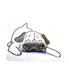 福ふくまねきやワンコ6犬種（個別スタンプ：8）