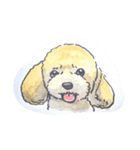 福ふくまねきやワンコ6犬種（個別スタンプ：9）