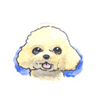 福ふくまねきやワンコ6犬種（個別スタンプ：11）