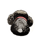 福ふくまねきやワンコ6犬種（個別スタンプ：12）