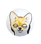 福ふくまねきやワンコ6犬種（個別スタンプ：13）