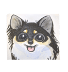 福ふくまねきやワンコ6犬種（個別スタンプ：14）