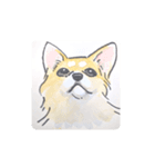 福ふくまねきやワンコ6犬種（個別スタンプ：15）