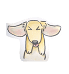 福ふくまねきやワンコ6犬種（個別スタンプ：17）