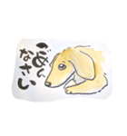 福ふくまねきやワンコ6犬種（個別スタンプ：19）