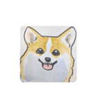 福ふくまねきやワンコ6犬種（個別スタンプ：22）