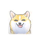 福ふくまねきやワンコ6犬種（個別スタンプ：23）