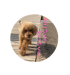 ちょことハッピーの日常（個別スタンプ：2）