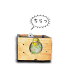幸せのインコ1（個別スタンプ：4）