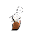 幸せのインコ1（個別スタンプ：7）