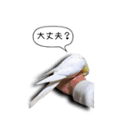 幸せのインコ1（個別スタンプ：9）