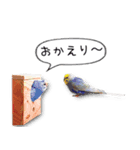 幸せのインコ1（個別スタンプ：22）
