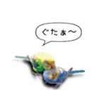 幸せのインコ1（個別スタンプ：27）