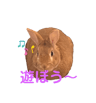 まるうさぎ2020のあ（個別スタンプ：9）