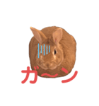 まるうさぎ2020のあ（個別スタンプ：10）