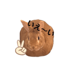 まるうさぎ2020のあ（個別スタンプ：22）