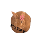 まるうさぎ2020のあ（個別スタンプ：24）
