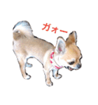 我が家のプリンさん（個別スタンプ：8）