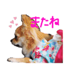我が家のプリンさん（個別スタンプ：16）