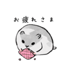 パイちゃん。（個別スタンプ：3）