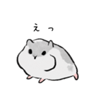 パイちゃん。（個別スタンプ：12）