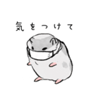 パイちゃん。（個別スタンプ：15）