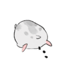 パイちゃん。（個別スタンプ：24）