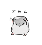 パイちゃん。（個別スタンプ：37）